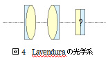 ラベンデュラ30ｍｍ　LD30